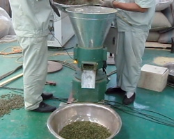 牧草使用飼料顆粒機(jī)壓制顆粒